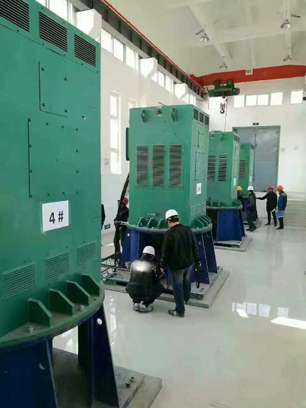 Y4003-6某污水处理厂使用我厂的立式高压电机安装现场