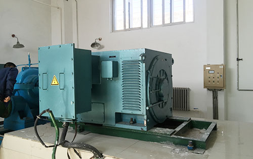 Y4003-6某水电站工程主水泵使用我公司高压电机