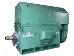 Y4003-6Y系列6KV高压电机